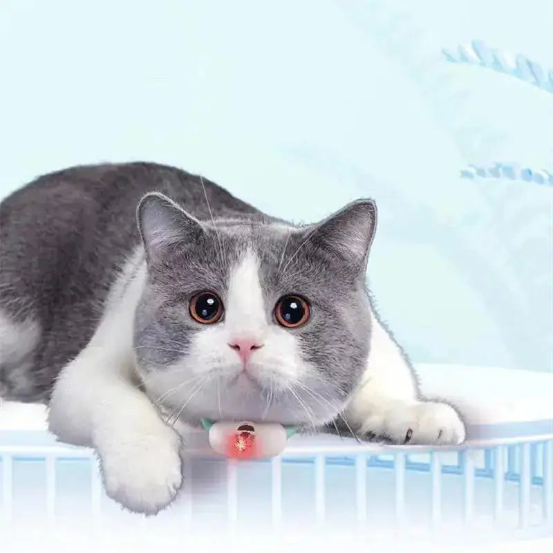 Automatic Cat Toy Smart Laser Teasing Cat Collar Electric USB Charging Kitten Amusing Toys Interactive Training Pet Items Meifu Market
