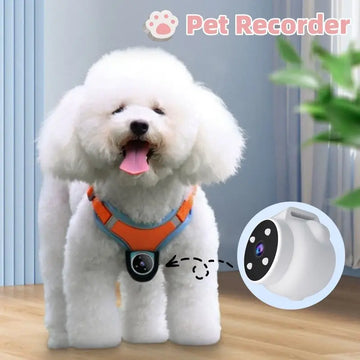 Pets Recorder Pet Tracker Collar Dogs And Cats Viewing Angle Motion Recording Camera Action Camera With Video Records Cat Collars Camera Sport Pet Products Meifu Market