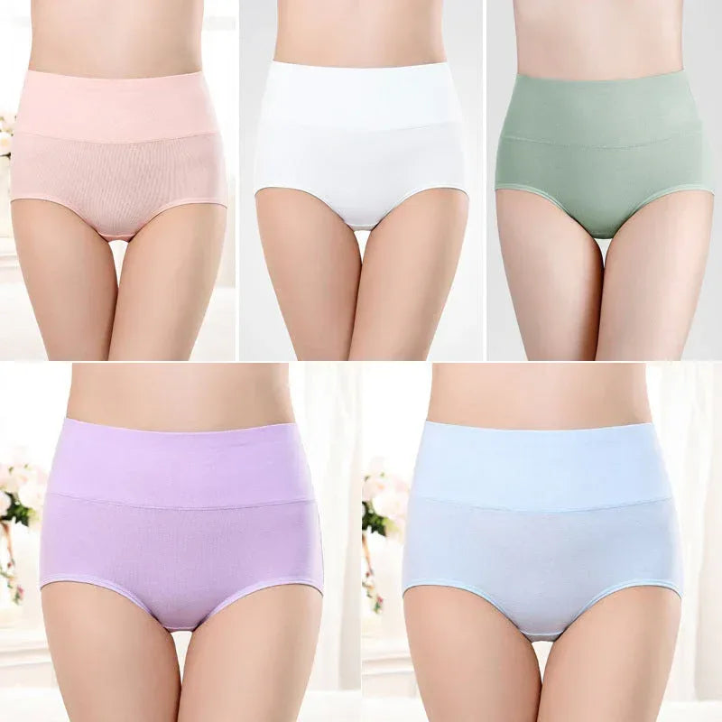 Women's Underwear High Waist Shaping Underwear Plus Size Meifu Market