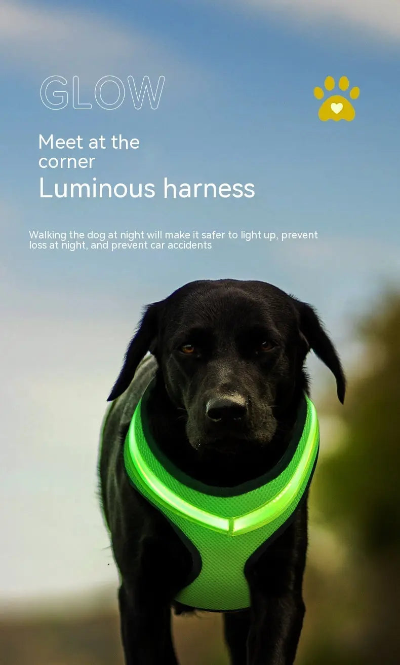 LED Luminous Dog Harness Led USB Charging Dog Chest Strap Vest Pet Safety Reflective Harness Pet Vest For Puppy Large Dog Pet Products Meifu Market