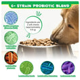 OEM Hot Sales Probiotics Chews For Pets Customized Shape For Digestive Health Pets Supplement Healthy Gut For Dogs Meifu Market