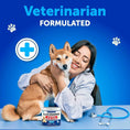 Glucosamine For Dogs Hip And Joint Supplement For Dogs With Arthritis Chews With Chondroitin Hemp Oil MSM Canine Joint Pain Relief Health Mobility Support For Large Breeds 120 Soft Treats Meifu Market