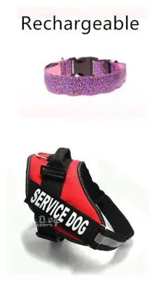 LED Dog Collar Safety Adjustable Nylon Leopard Pet Collar Meifu Market