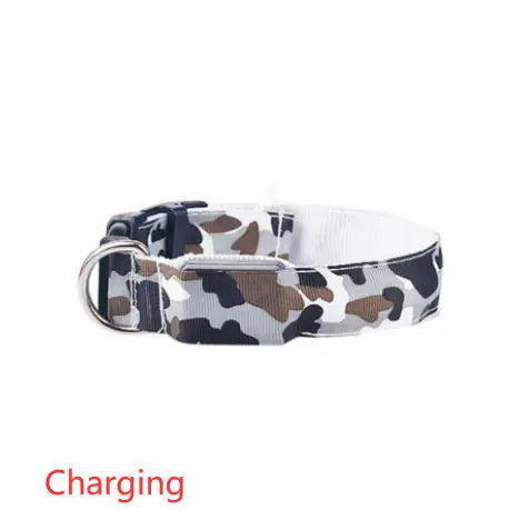 Camouflage pet supplies luminous dog collar Meifu Market