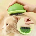 Avocado Shaped Pet Grooming Brush - Cat Dog Hair Remover & Massage Tool - Meifu Market