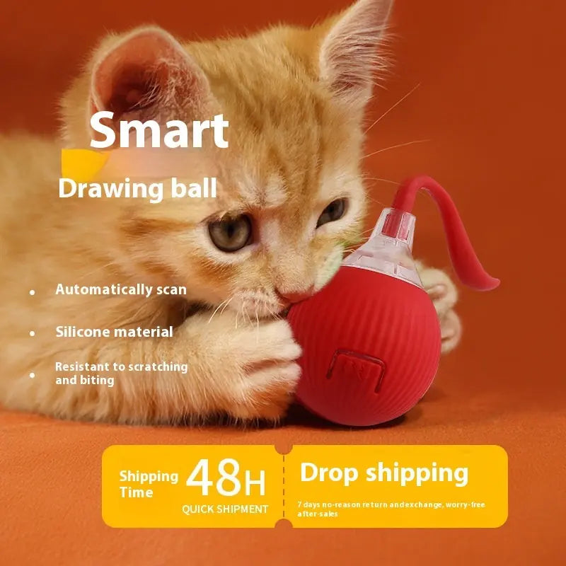 Interactive Cat Toy Ball Super Drive Cat Rolling Ball Meifu Market