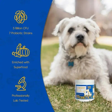 Dog & Cat Probiotics - 7 Strains with Prebiotics Pumpkin Carrot 5B CFU