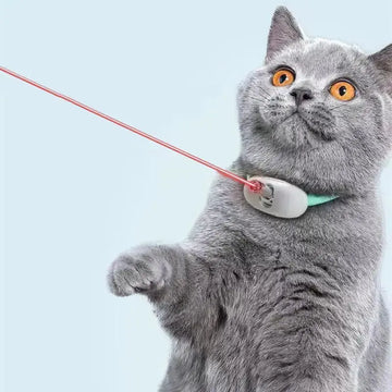 Automatic Cat Toy Smart Laser Teasing Cat Collar Electric USB Charging Kitten Amusing Toys Interactive Training Pet Items Meifu Market