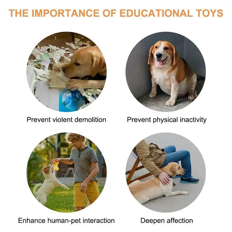 4 Colors Pet Communication Button One-click Prevent Physical Inactivity Recordable Dog Talking Button Toy Cat Toy Pet Products Meifu Market