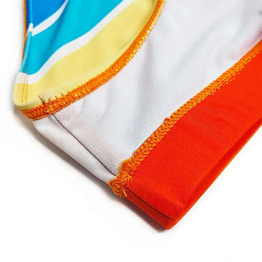 Men's Multi-Color Stripe Print Swim Briefs Holiday Beachwear Meifu Market