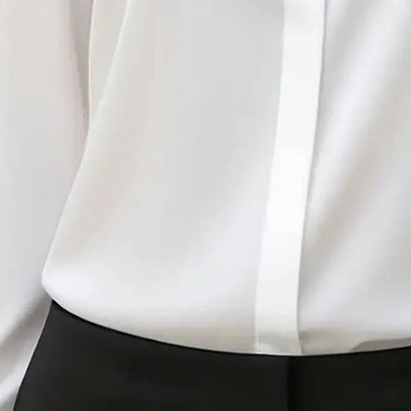 Women's Long Sleeve Satin Blouse, V Neck Loose Fit Tunic Top For Business Casual Office Fall Meifu Market