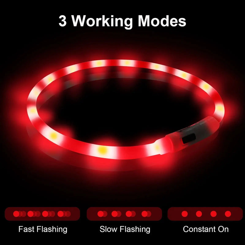 rechargeable pet collar | led dog collar | glowing cat collar | ultrasonic cleaning