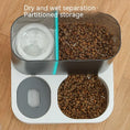 Pet Visual Automatic Pet Feeder Meifu Market