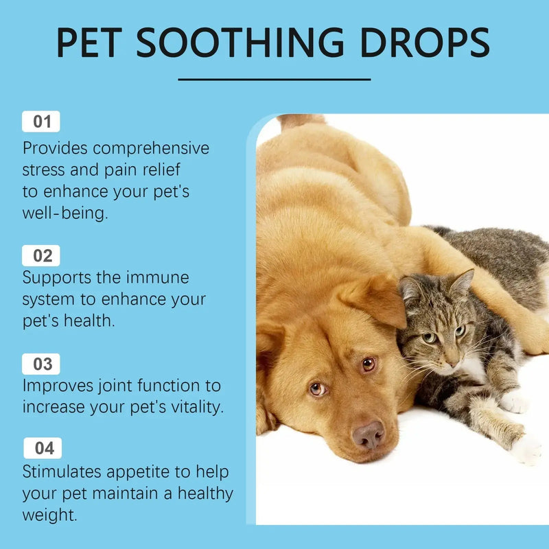 Pet Care Drops Enhance Immunity Dog Nutrition Supplement For Cats Meifu Market