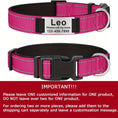 reflective dog collar | adjustable neoprene collar | padded breathable nylon collar | ultrasonic cleaning