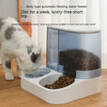 Pet Visual Automatic Pet Feeder Meifu Market