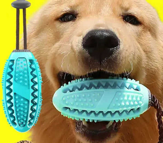Dog Suction Cup Toy - Interactive Tug Ball for Teeth Cleaning Meifu Market