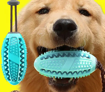 Dog Suction Cup Toy - Interactive Tug Ball for Teeth Cleaning