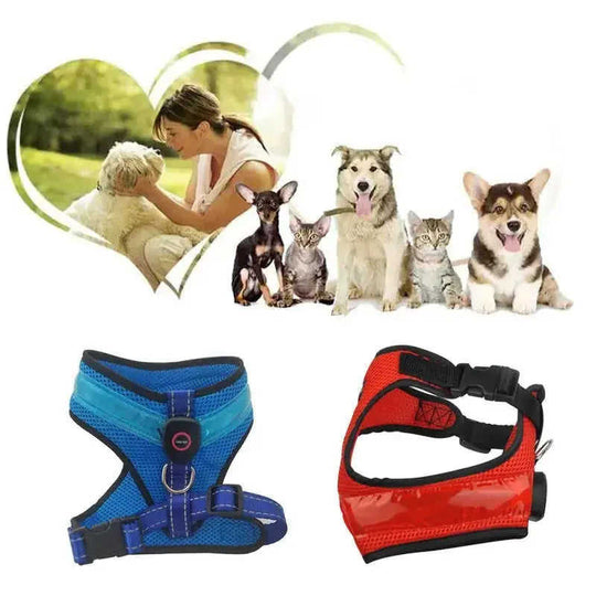LED Luminous Dog Harness Led USB Charging Dog Chest Strap Vest Pet Safety Reflective Harness Pet Vest For Puppy Large Dog ...