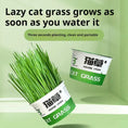 Lazy Cat Grass Canned Hydroponic Soilless Depilation Ball Digestive Snacks Meifu Market