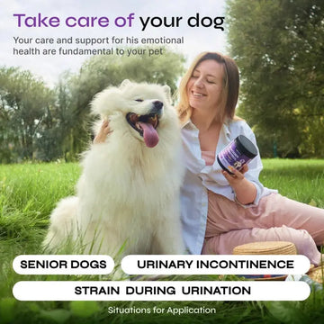Dog UTI Treatment Duck Flavor Bladder Control Cranberry Chews Dog Cranberry Supplement For Urinary Tract Bladder & Kidney Health Cranberry D Mannose Soft Treats For Dog Incontinence Healthy Bladder