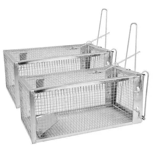 Humane Rat Trap Cage 2 Pack - Live Mouse Rodent Trap Galvanized Steel Catch Release Meifu Market