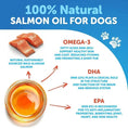 Salmon Oil For Dogs 3 For Dogs 8 FL OZ Wild Alaskan Salmon Fish Oil Meifu Market
