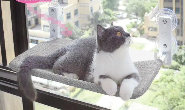 Cat Suction Cup Window Glass Hammock Pet Cat Pets Products Meifu Market