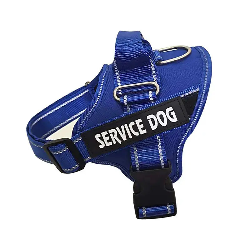 Personalization Of Pet Chest Strap Products Meifu Market