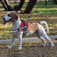 reflective dog vest harness | comfortable mesh dog harness | safety pet vest | energy saving