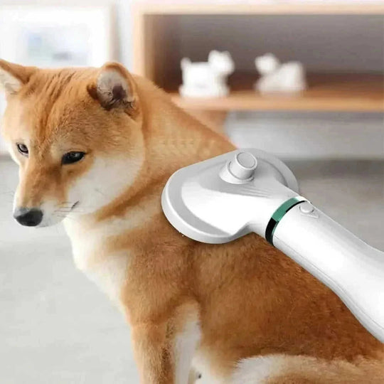 pet hair dryer comb | 300w blow dryer brush | 2-in-1 grooming tool | ultrasonic cleaning