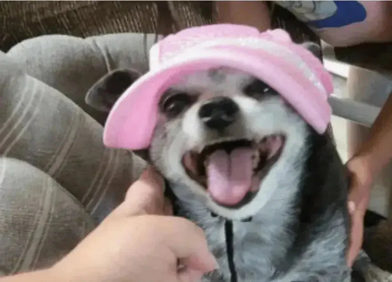 adjustable pet sun hat | uv protection for dogs | sun hat for cats | energy saving