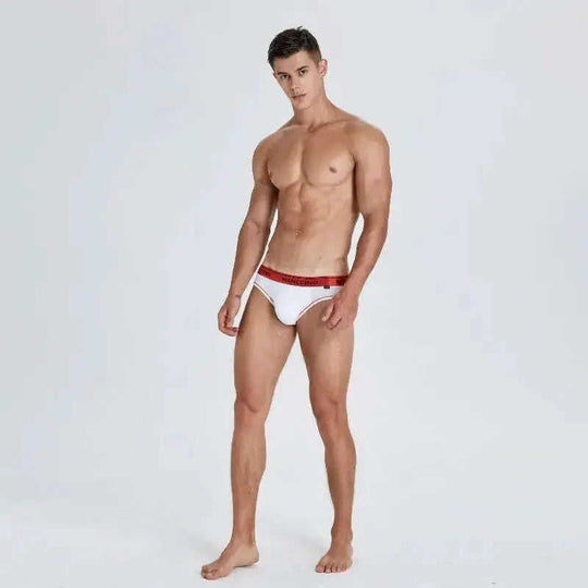 Men's Cotton Briefs - Low Waist Comfortable Underwear for Daily Wear Meifu Market