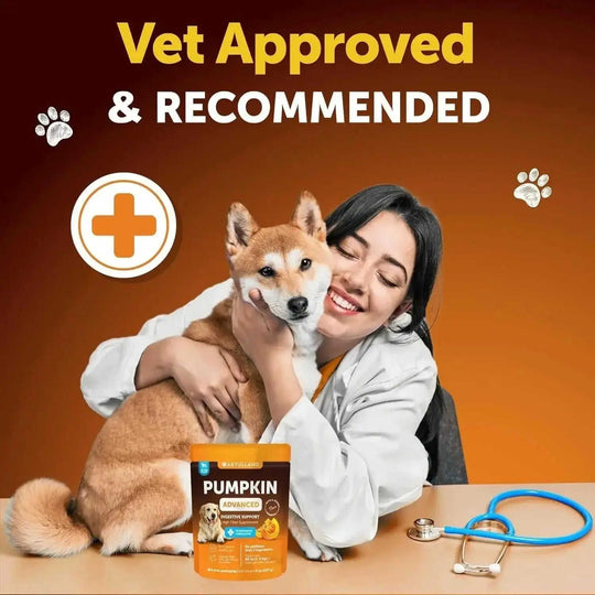 Do Not Sell On Amazon Pumpkin Powder For Dogs Digestive Support 8 OZ Fiber Supplement For Constipation For Gut Balance Hea...