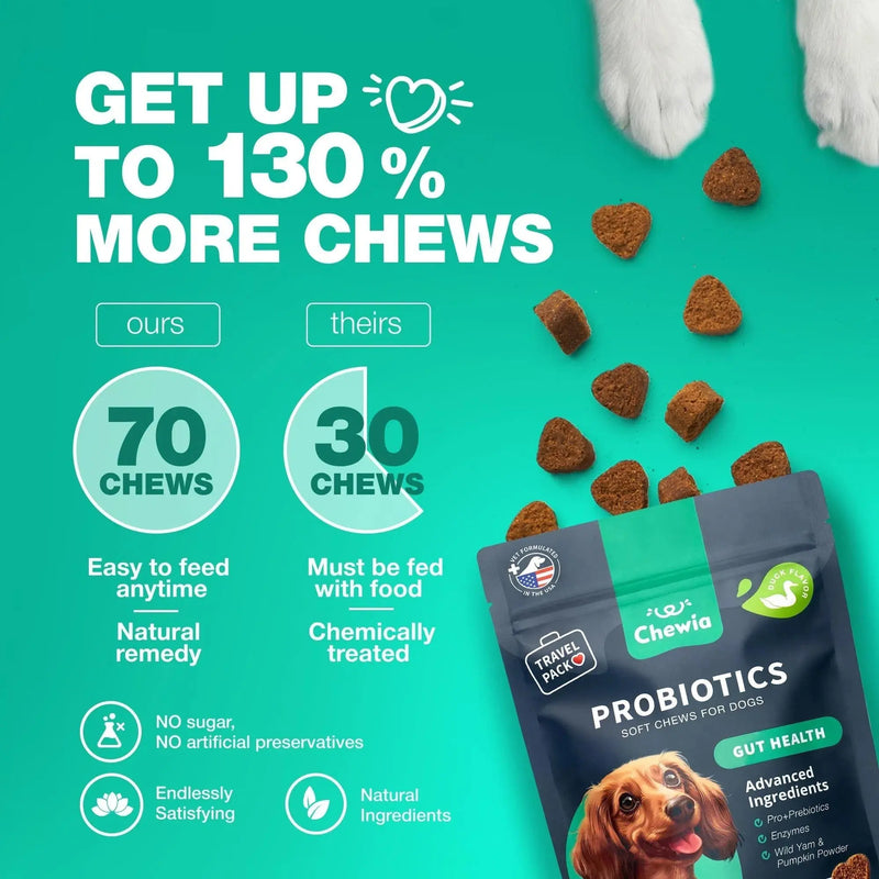 Do Not Sell On Amazon Probiotics For Dogs Support Gut Health Immunity Yeast Balance Itchy Skin Allergies Probiotics And Digestive Enzymes Coprophagia Deterrent For Dogs 180 Probiotic Chews For Dogs Meifu Market