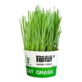 Lazy Cat Grass Canned Hydroponic Soilless Depilation Ball Digestive Snacks Meifu Market