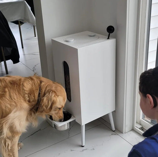 Wooden Pet Feeder Large Capacity