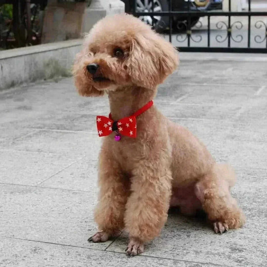 personalized pet bow tie | adjustable dog collar bow | cat bow tie accessories | energy saving