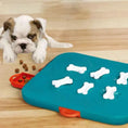 Pet Casino Treasure Hunt Puzzle Food Spill Toy Meifu Market